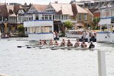 IMG_8253