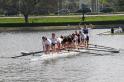 Gent11-279