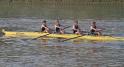 Gent11-342