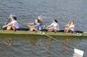 Gent11-371