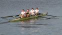 Gent11-378