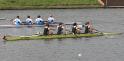 Gent11-381