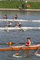 Gent11-439