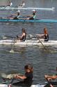 Gent11-446