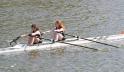 Gent11-456