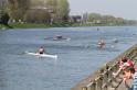 Gent11-478