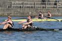 Gent11-506