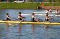Gent11-553