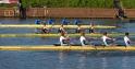 Gent11-558