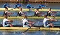 Gent11-559
