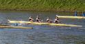 Gent11-561