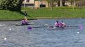 Gent11-593