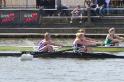 Gent11-600