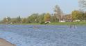 Gent11-642