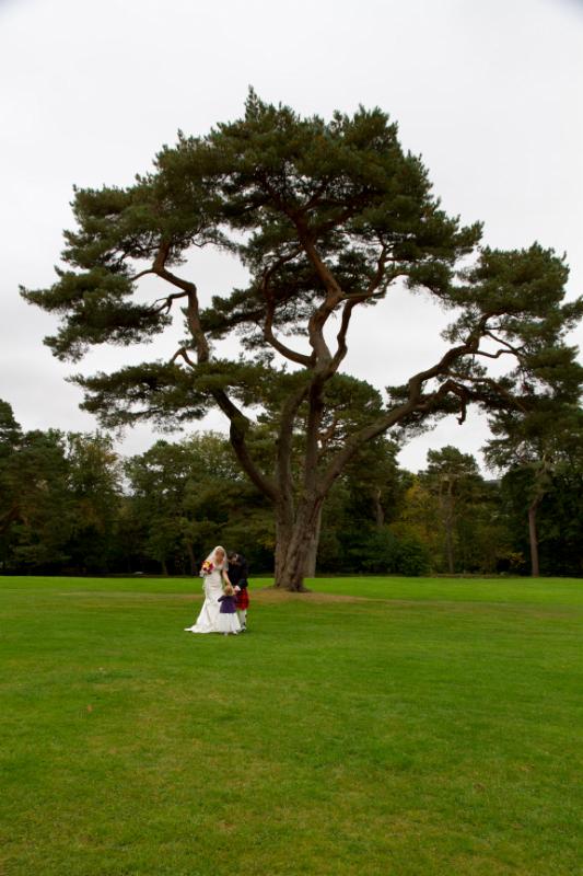 CandJwed-297.jpg - under the spectacular Scots Pine at 'Woodbank'