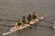 C_wealth_06 (291)