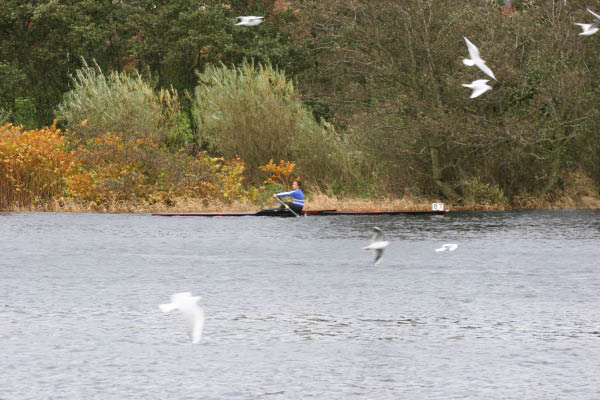 Abdn_SB_HOR_06-098
