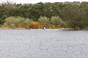 Abdn_SB_HOR_06-118