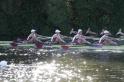 Henley12-191-1