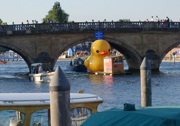 HRR (Henley Royal Regatta) 2019