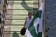 Nat_Ch_06 (226)