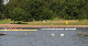 Nat_Ch_06 (230)