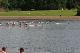 Nat_Ch06 (323)