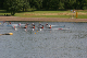 Nat_Ch06 (326)