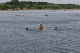 Nat_Ch06 (334)