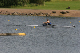 Nat_Ch06 (344)