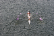 Nat_Ch06 (356)
