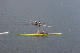 Nat_Ch06 (443)
