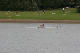 Nat_Ch06 (475)