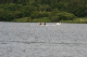 Nat_Ch06 (476)