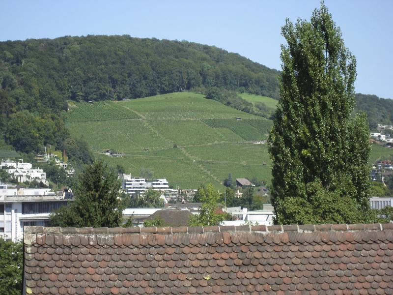 Badenfhart07-104