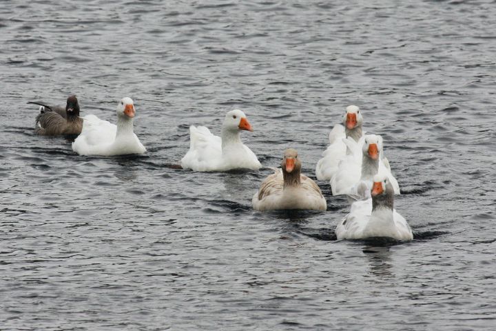 AbdnSp08-104.jpg