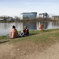 20260321-035 21/3/2026. The 31st Universities of Aberdeen Boat Race